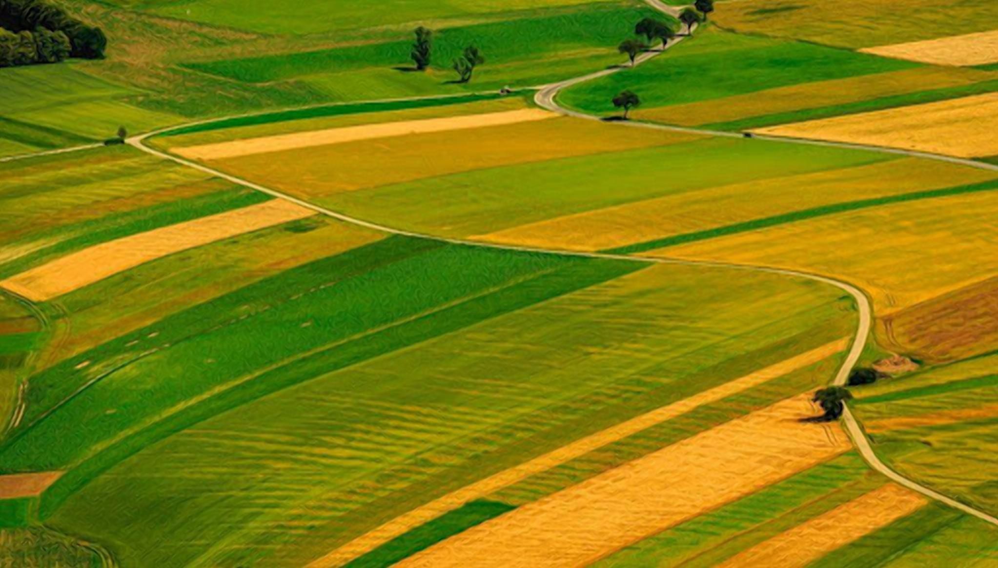 100 тисяч за гектар паю: де в Україні найдорожча земля - Агро