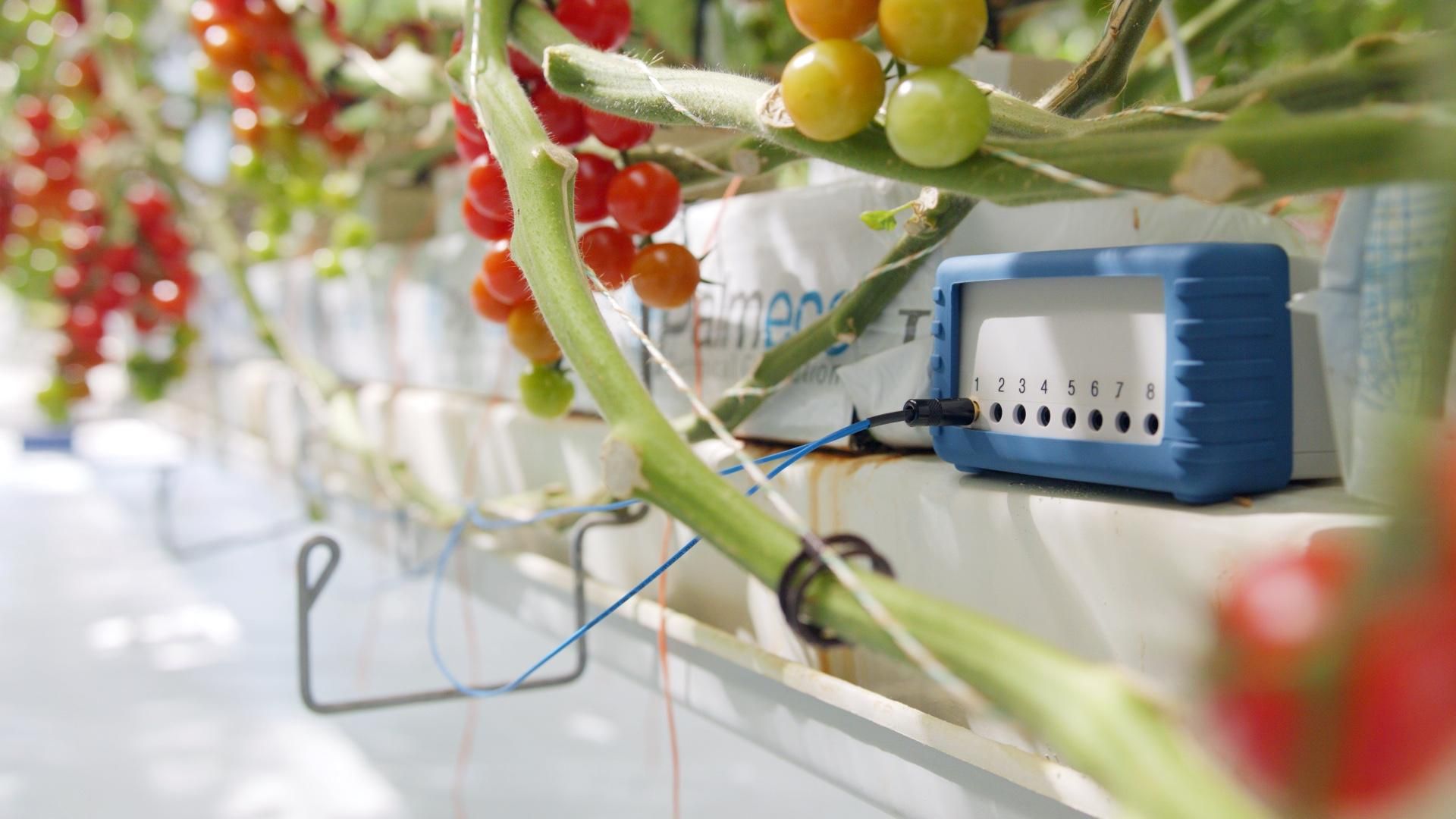 PhytlSigns PhytlSigns