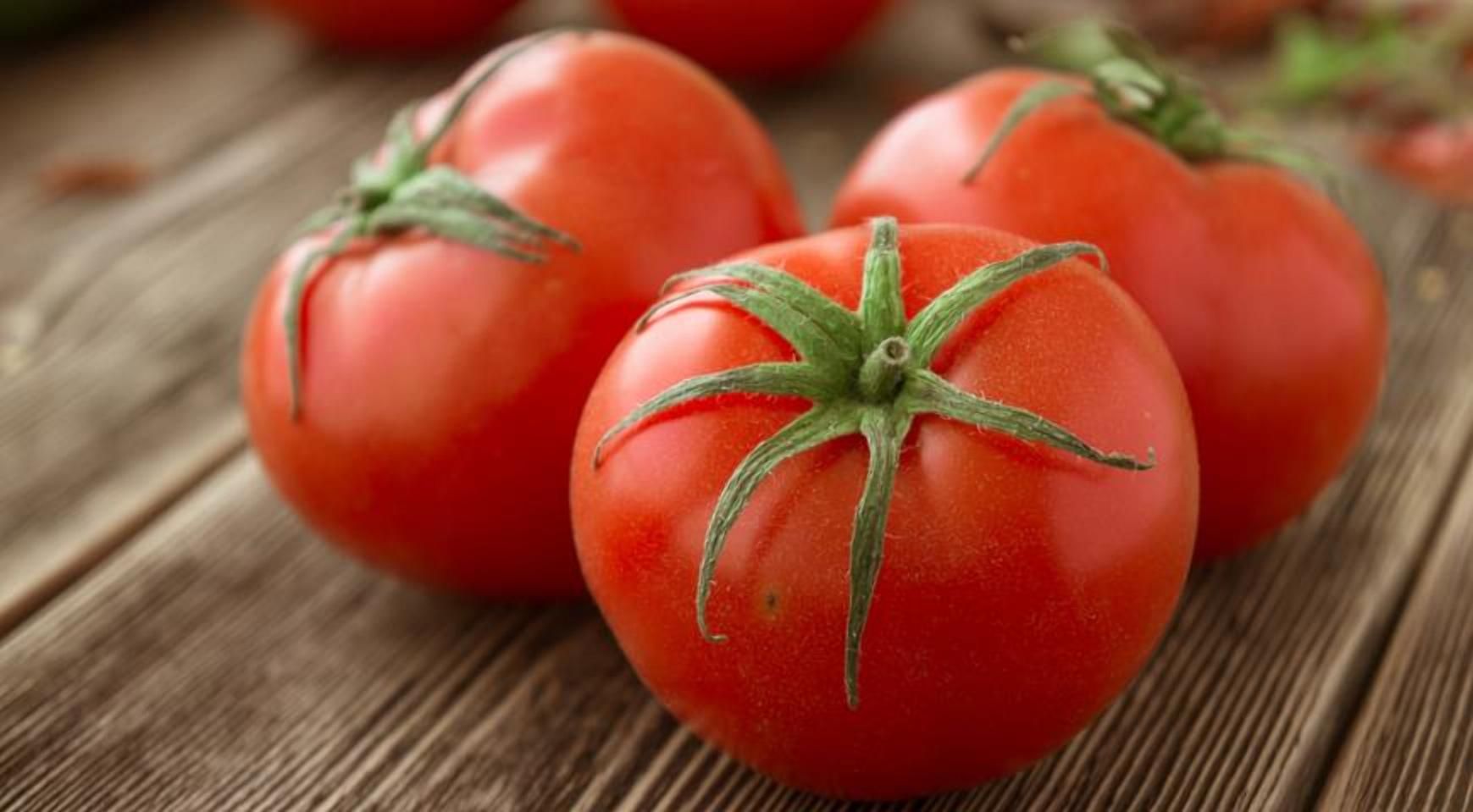 Біопластик з помідорів: вчені створили неймовірний матеріал, який не буде шкодити довкіллю - Агро