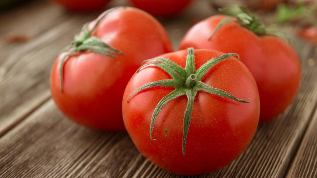 Биопластик из помидоров: ученые создали невероятный материал, который не будет вредить природе - Агро