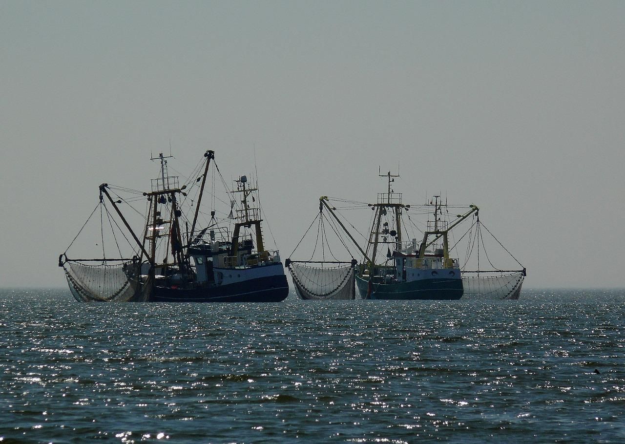 Рибна Україна: де і скільки виловили водних біоресурсів - Агро