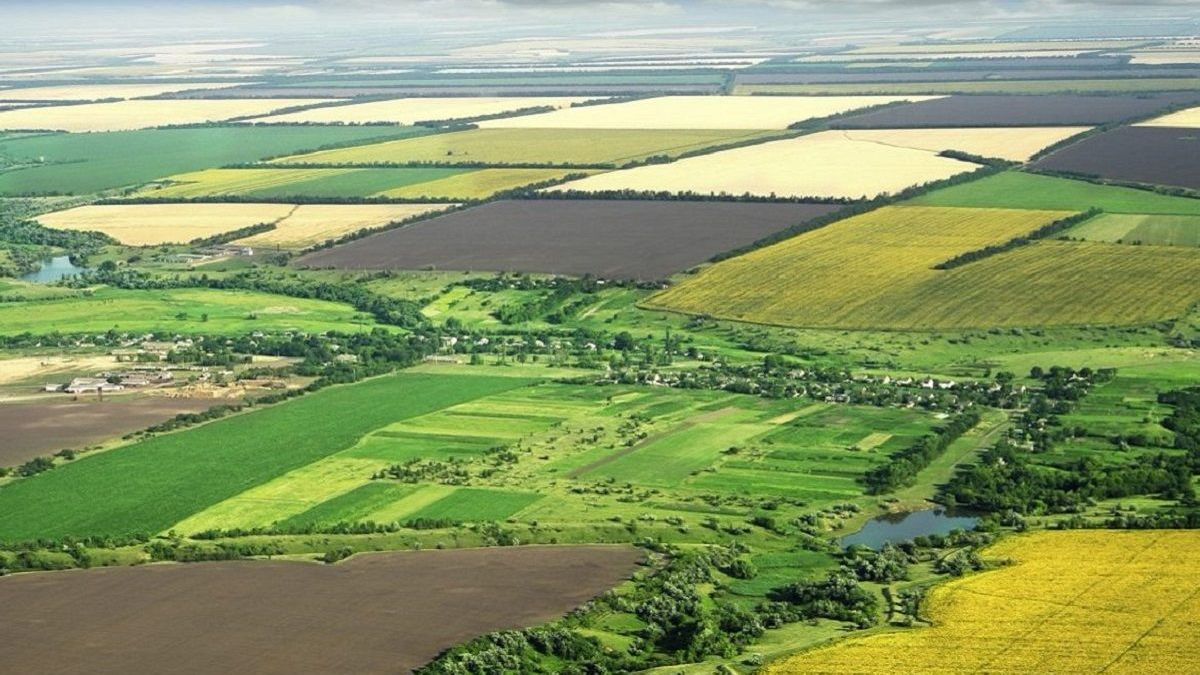 Ринок землі: як продати ділянку, що перебуває в оренді - Украина новости - Агро