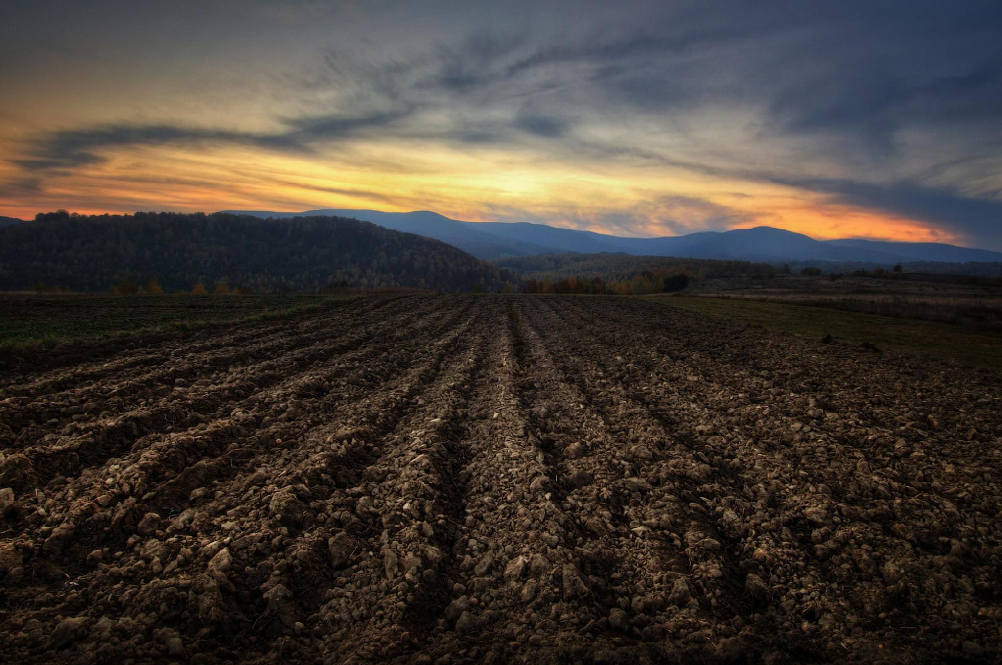 Українська земля втрачає родючість: постраждало вже 32 мільйони гектарів - Агро Українська земля втрачає родючість: постраждало вже 32 мільйони гектарів - Агро