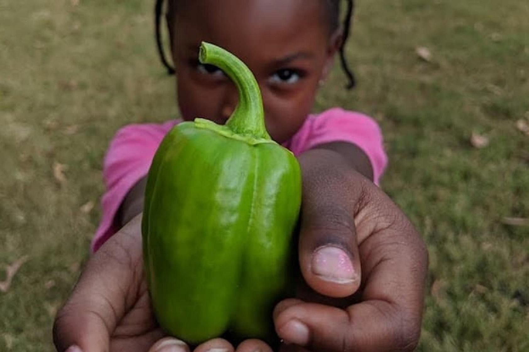 6-летняя девочка стала самым молодым сертифицированным фермером: фото малой профессионалки