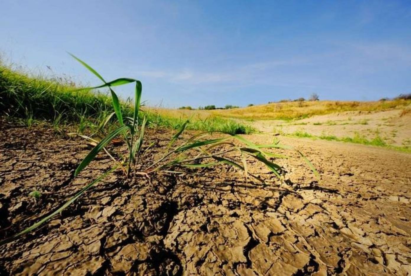 Десятки миллиардов гривен: какие убытки несет Украина из-за деградации почв - Агро
