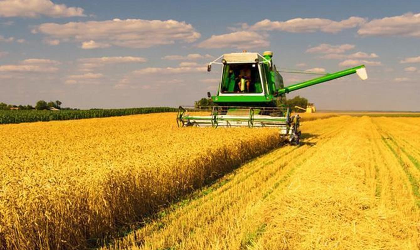 Зарплата в агросекторі зростає: який зараз середній показник - Агро Зарплата в агросекторі зростає: який зараз середній показник - Агро