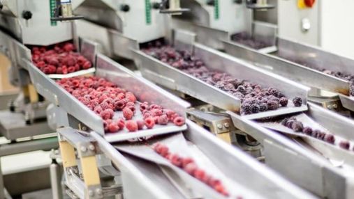 На Львовщине построят инновационный завод по переработке фруктов