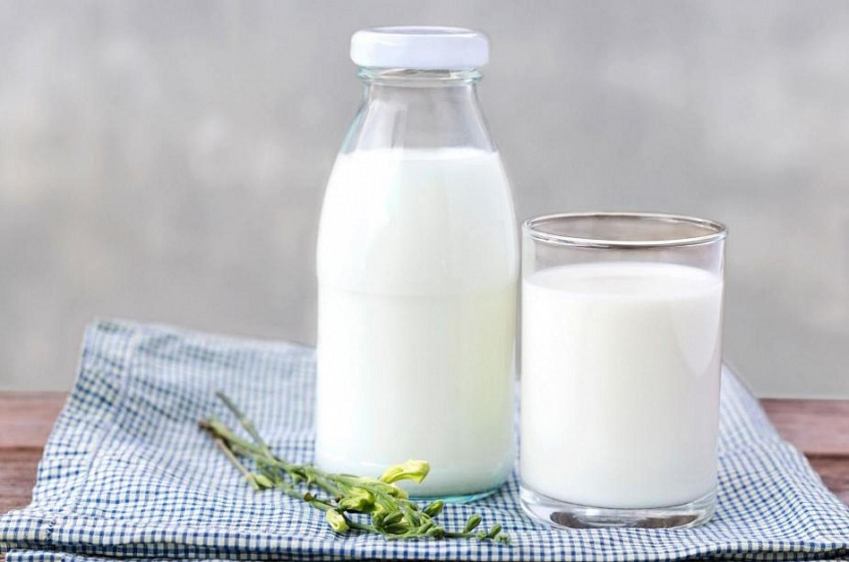 Нежелательное лидерство: молоко в Украине – одно из самых дорогих в Европе - Агро