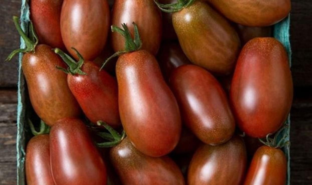 Неймовірний смак та стійке зберігання: в США вивели новий сорт томатів - Агро