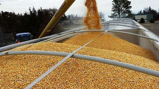 Україна відправила на експорт 30 мільйонів тонн зерна