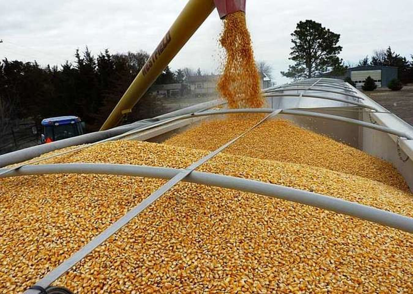 Україна відправила на експорт 30 мільйонів тонн зерна - Агро