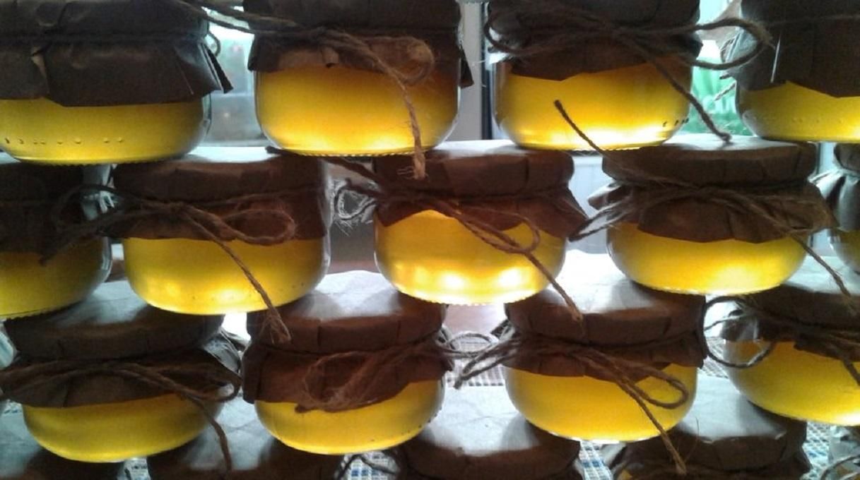 Експорт меду з України: хто і скільки купляє - Агро Експорт меду з України: хто і скільки купляє - Агро