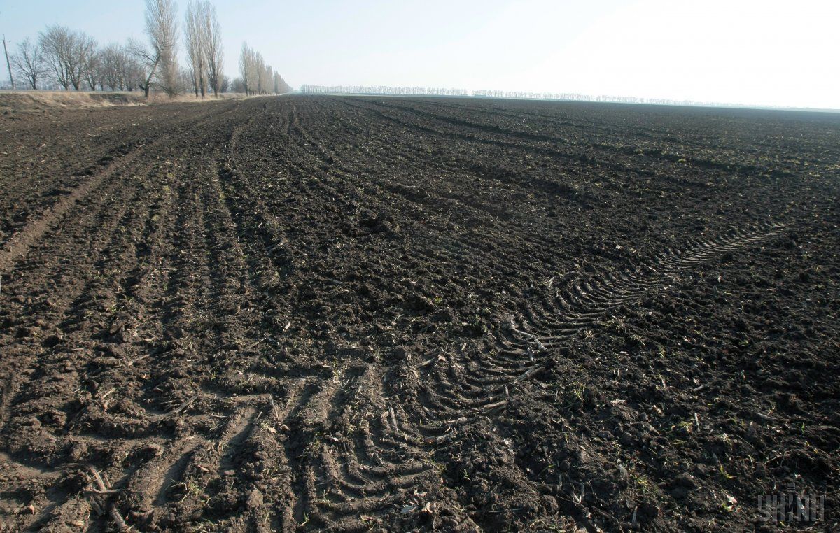 Рынок земли: кто имеет право на льготное приобретение участков - Украина новости - Агро