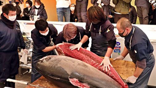 Ще не максимум: на японському аукціоні величезну рибу продали майже за 150 тисяч доларів