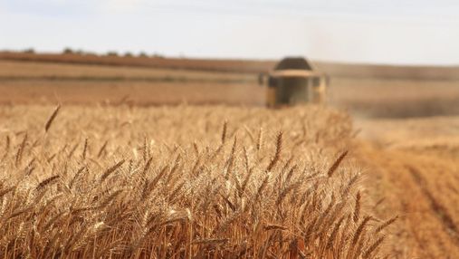 Окупанти знищили щонайменше 6 зерносховищ, але голод Україні не загрожує, – Мінагрополітики