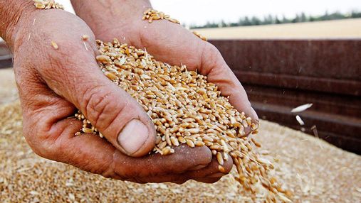 Урожай зерновых в Украине в 2022 году будет примерно на 20% меньше, чем в 2021 году, – Минобороны Британии