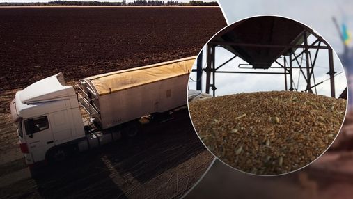 США та Європа розробляють маршрути для вивозу українського зерна