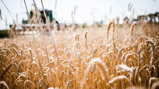 Увеличить перевозку зерна до 2,5 тонн: с какой страной Украина усиливает сотрудничество по экспорту