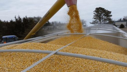 США можуть частково зняти санкції з Білорусі, якщо Мінськ дозволить експорт зерна з України