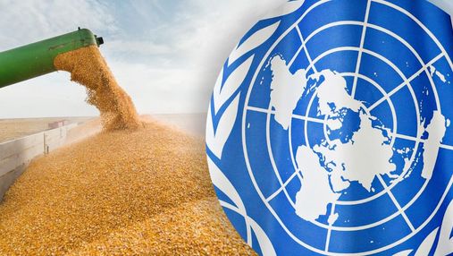 Запасів пшениці на Землі залишилося тільки на 10 тижнів, – експертка виступила в ООН