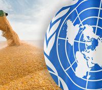 Запасов пшеницы на Земле осталось только на 10 недель, – эксперт выступила в ООН