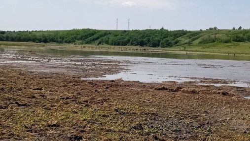 На Харківщині через буревій затопило поля: знищені посіви соняшнику й озимої пшениці