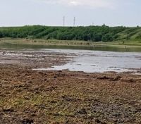 На Харьковщине из-за урагана затопило поля: уничтожены посевы подсолнечника и озимой пшеницы