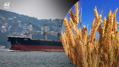 "Схеми" стверджують, що Росія системно вивозить зерно з України в Туреччину: супутникові знімки