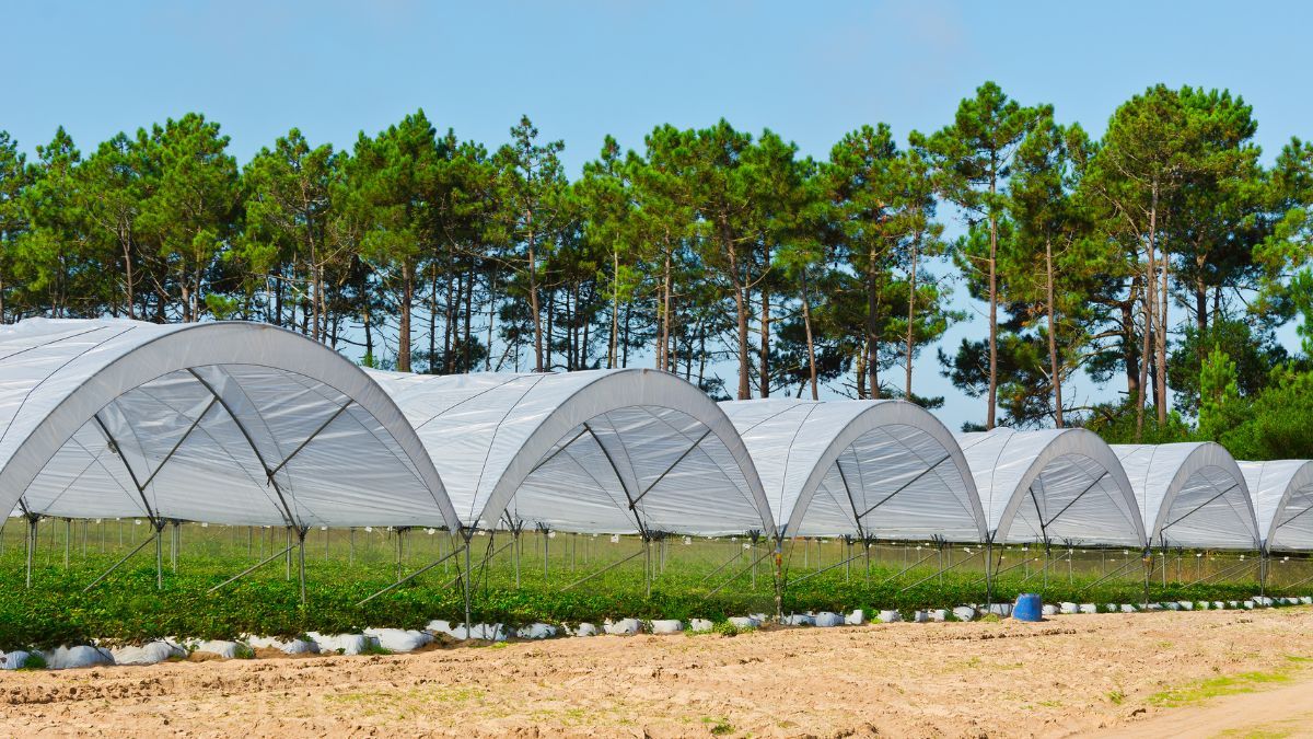 Гранти для аграріїв Гранти для аграріїв