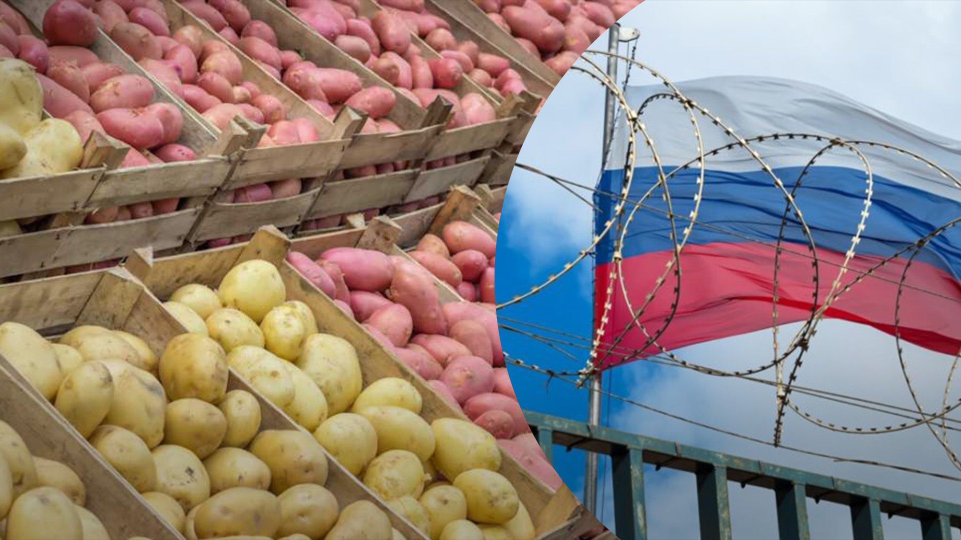Росіян штрафуватимуть за вирощування картоплі на дачі