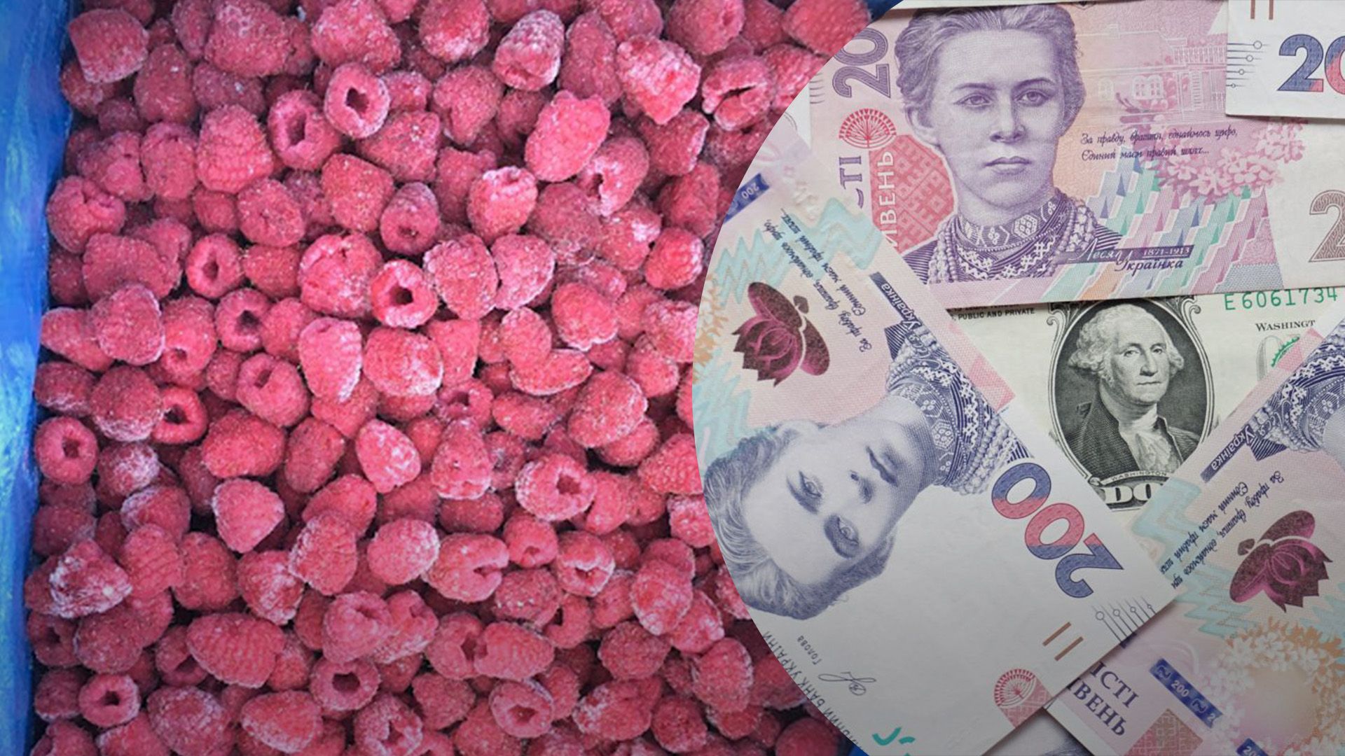 Названі перші ціни на малину для заморозки Названі перші ціни на малину для заморозки