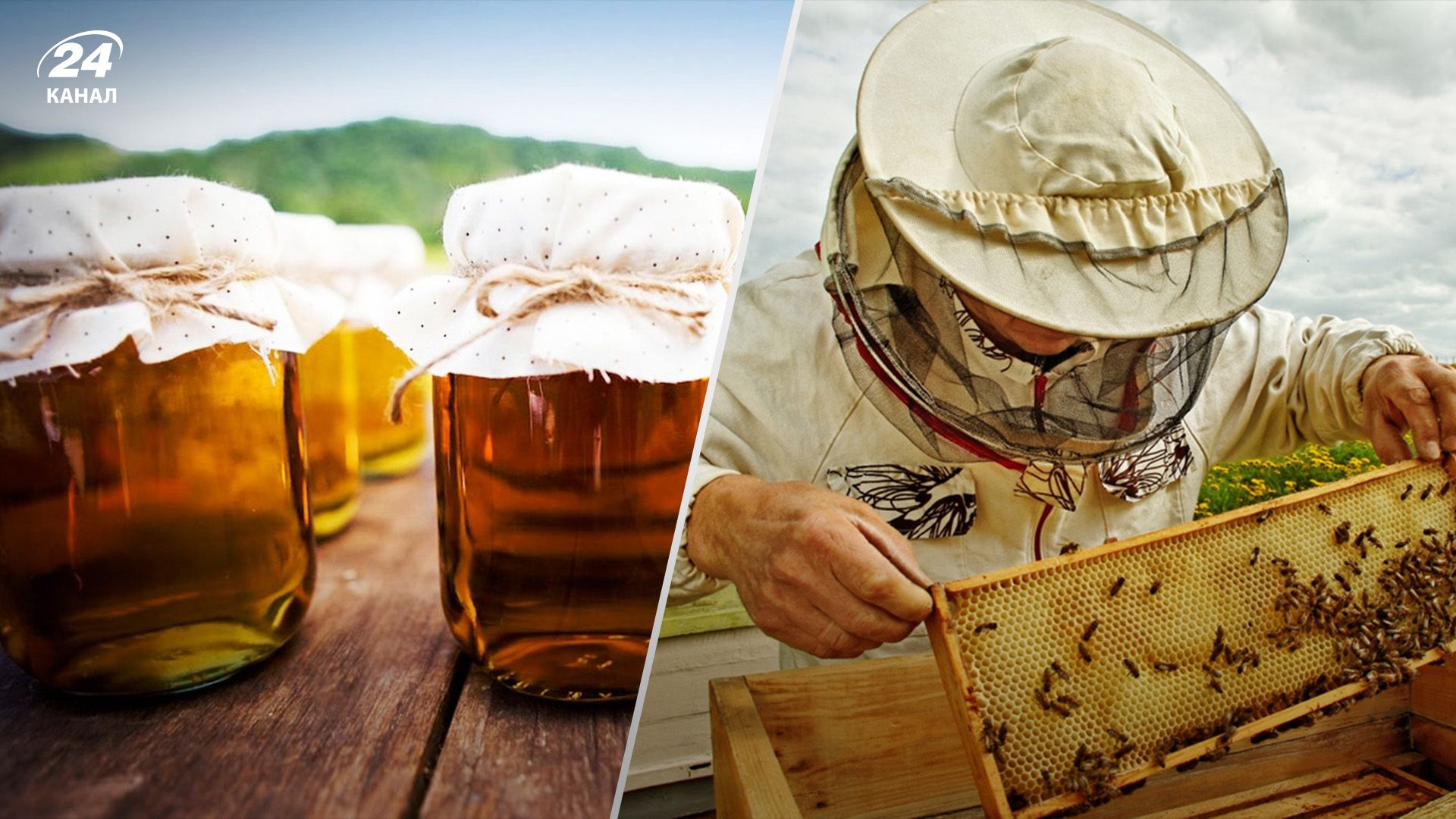 Чому український мед продають з іноземними етикетками Чому український мед продають з іноземними етикетками