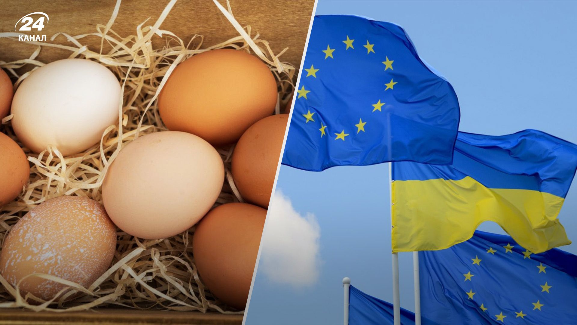 ЕС возвращает пошлины на украинские яйца и сахар