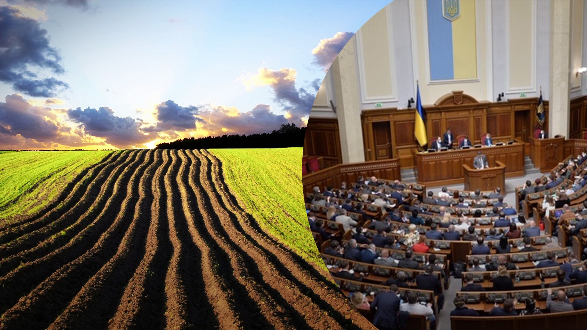 Верховна Рада дозволила приватизувати землю зараз Верховна Рада дозволила приватизувати землю зараз