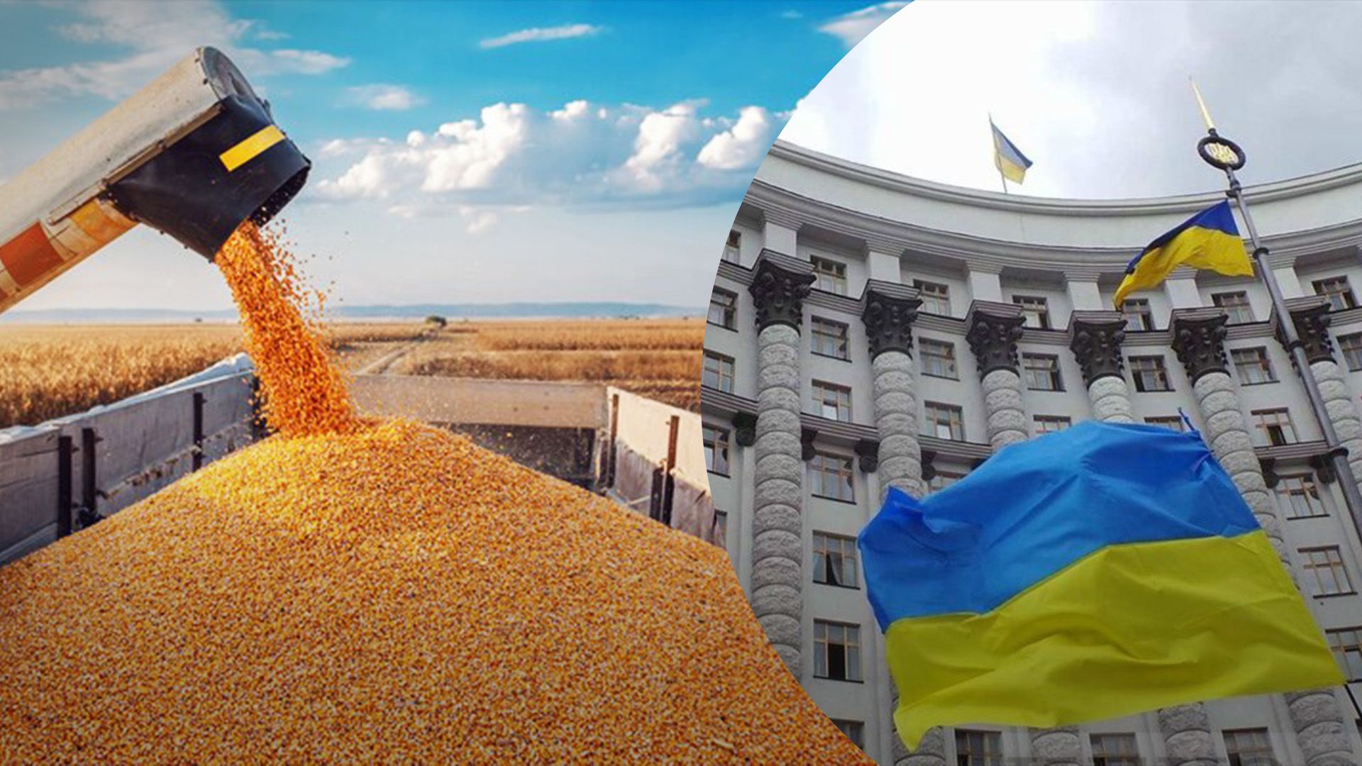 Украина введет минимальную экспортную цену на зерно Украина введет минимальную экспортную цену на зерно