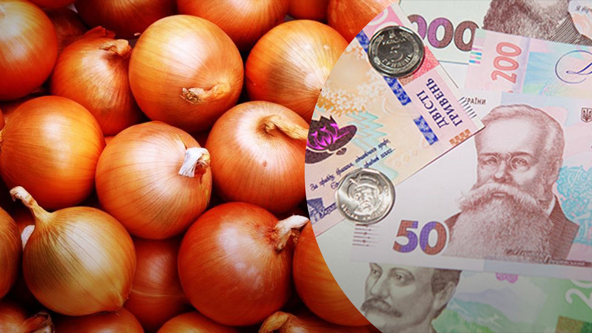 Цены на лук в Украине обвалились в цене на лук в Украине