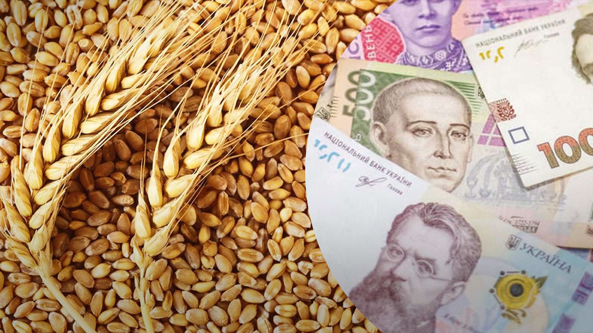 Озвучено ціни на зернові Озвучено ціни на зернові
