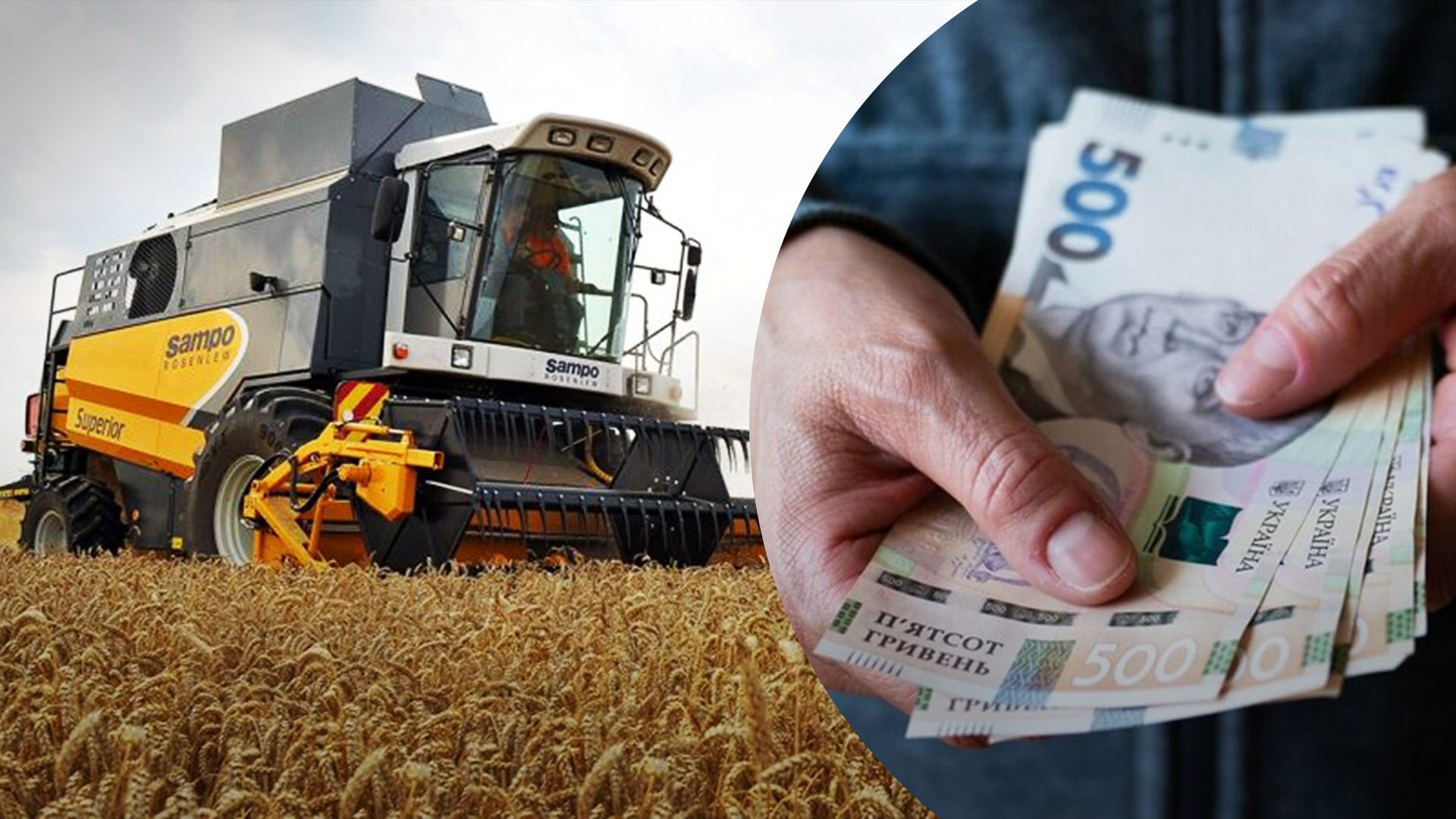 Як змінилась зарплата в агросфері Як змінилась зарплата в агросфері