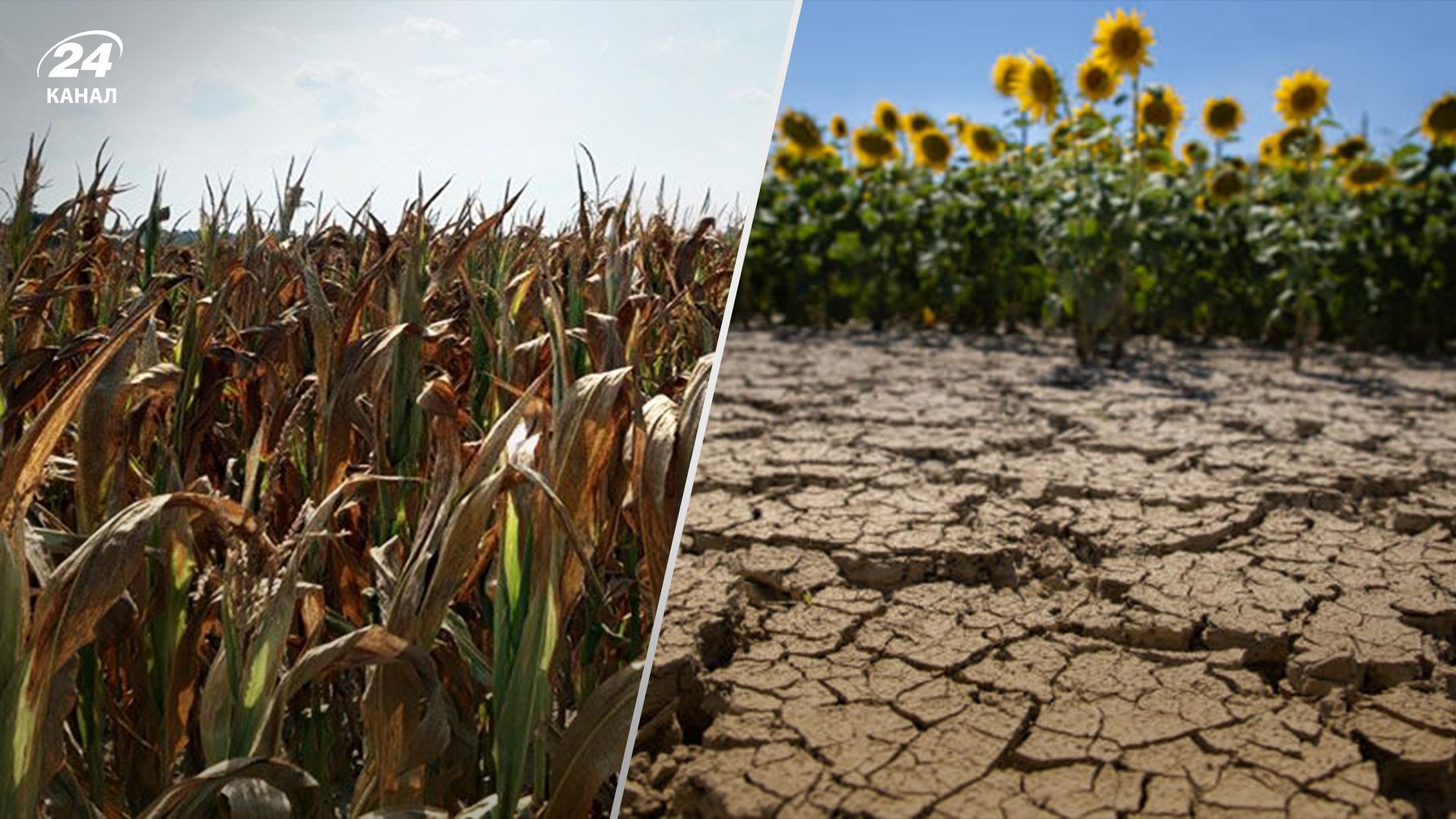 В июле и августе ожидается засуха в Черноморском регионе В июле и августе ожидается засуха в Черноморском регионе