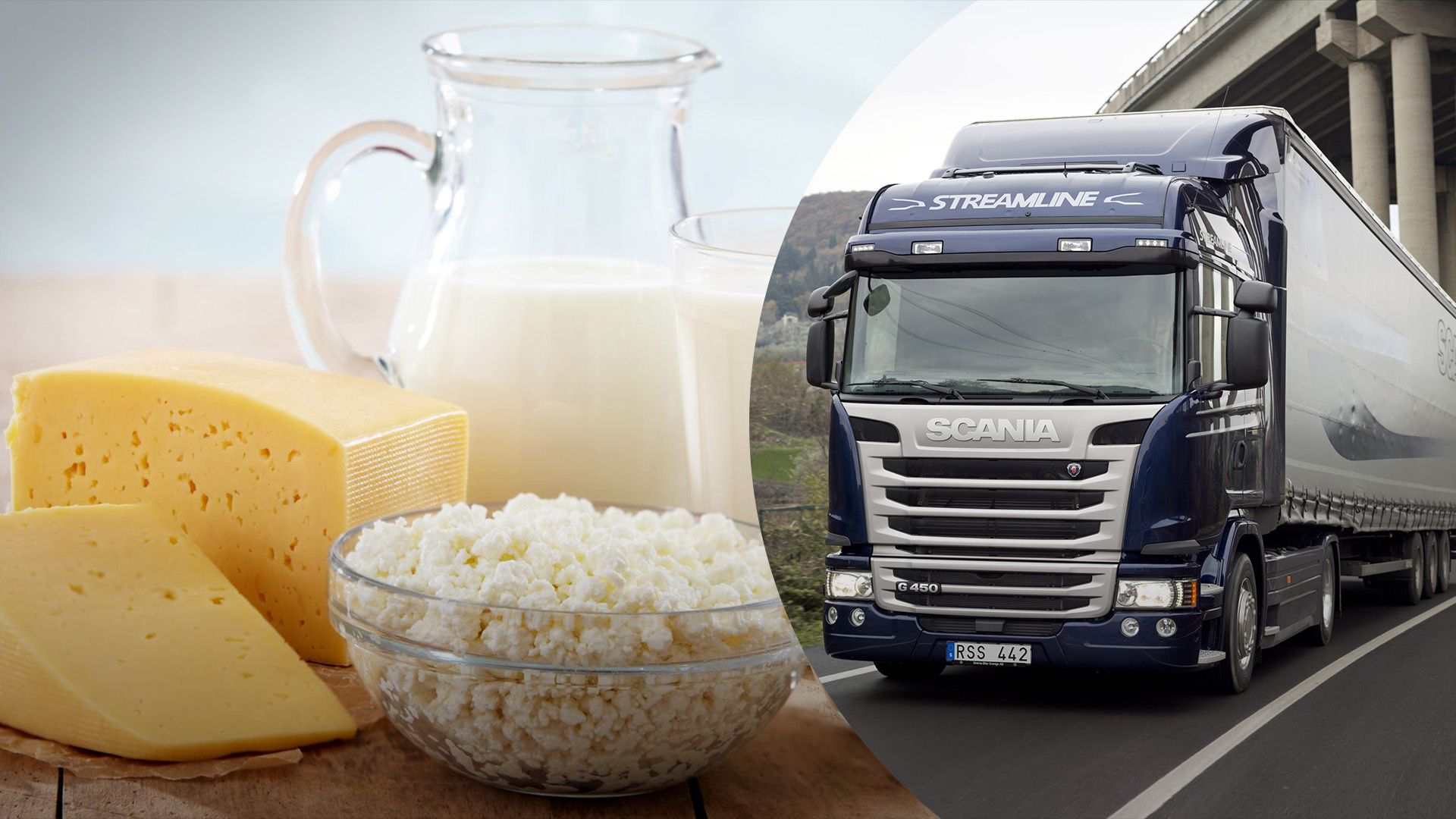 Україна нарощує експорт молочних продуктів Україна нарощує експорт молочних продуктів