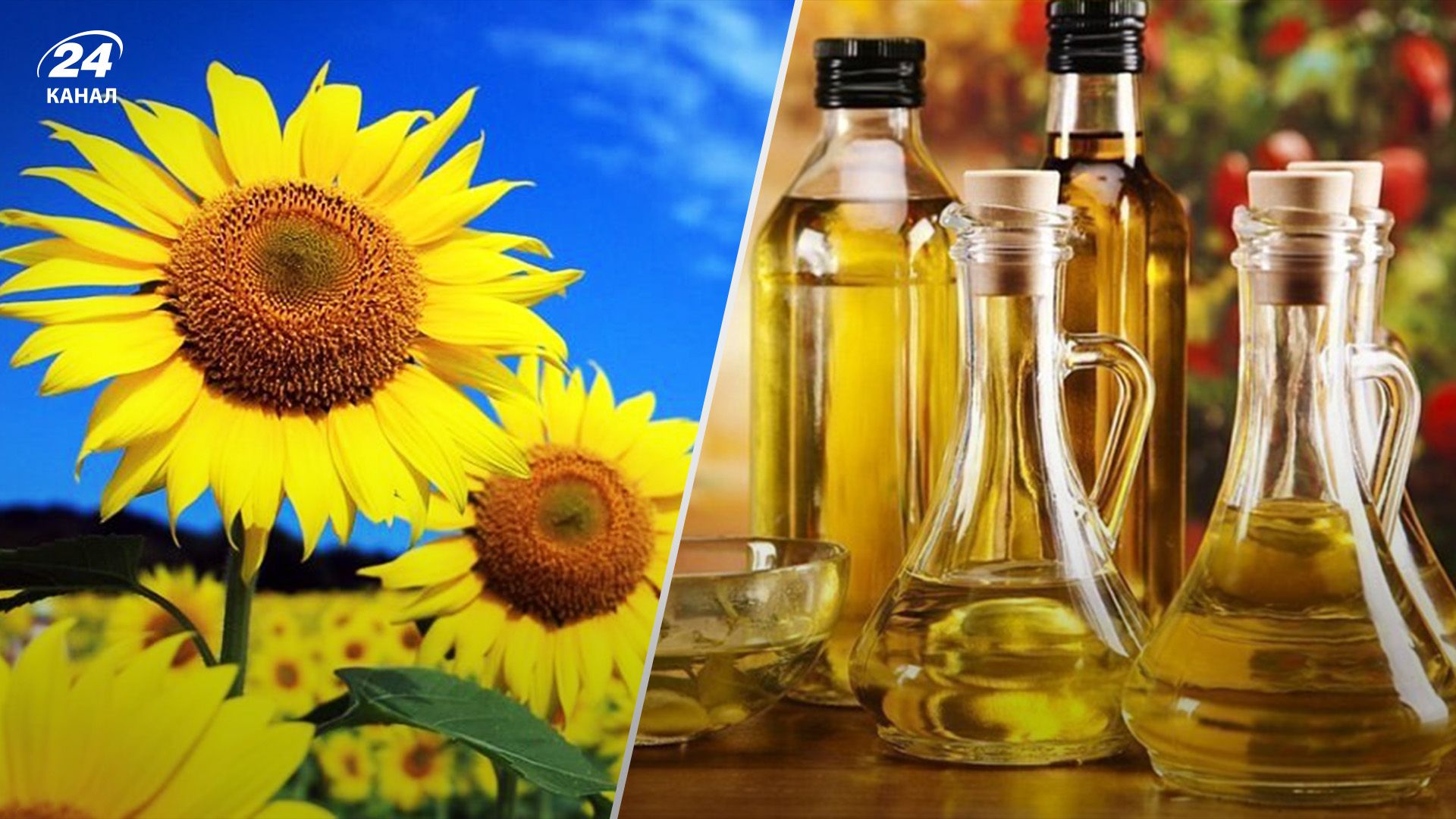 В Україні змінились ціни на олію В Україні змінились ціни на олію