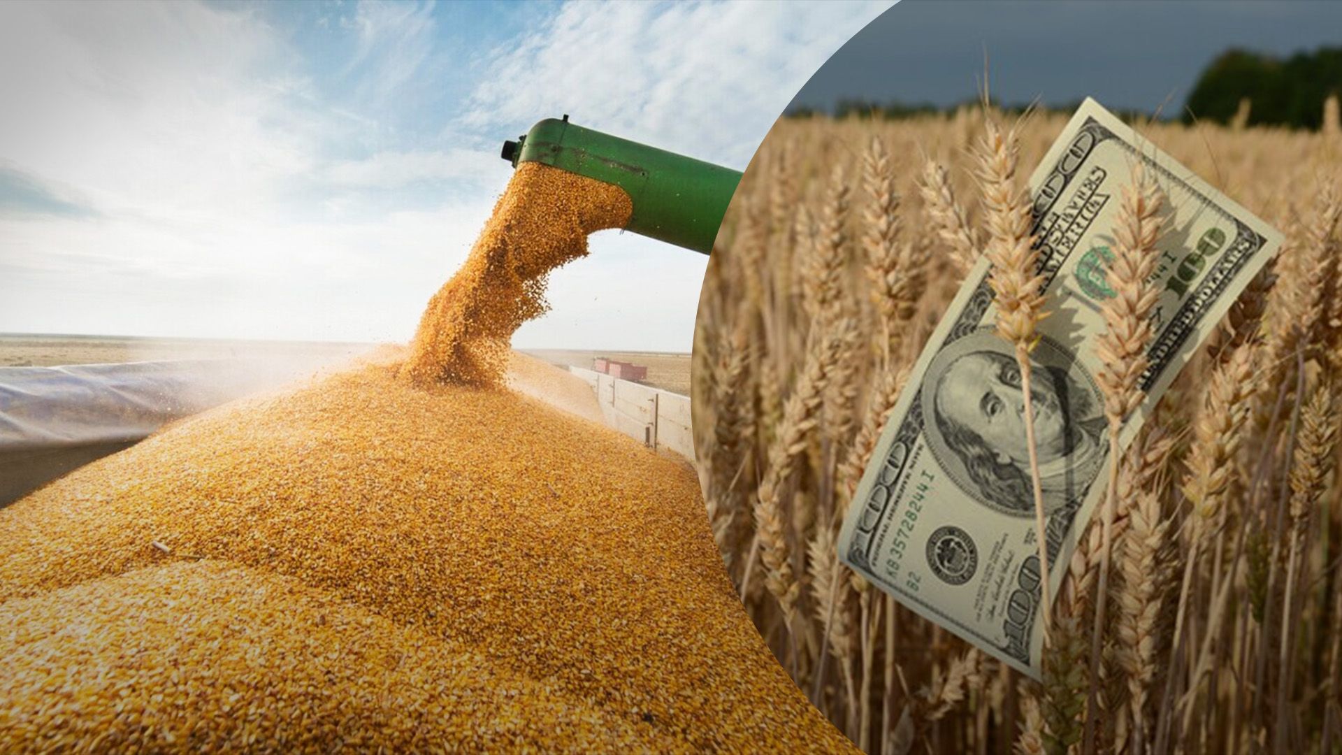 Правительство рекомендует увеличить сроки расчетов за зерно