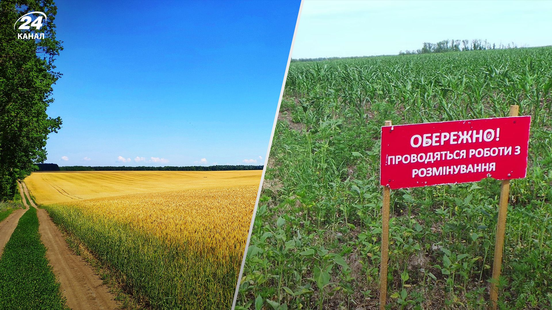 Землі у прифронтових районах значно дешевші Землі у прифронтових районах значно дешевші