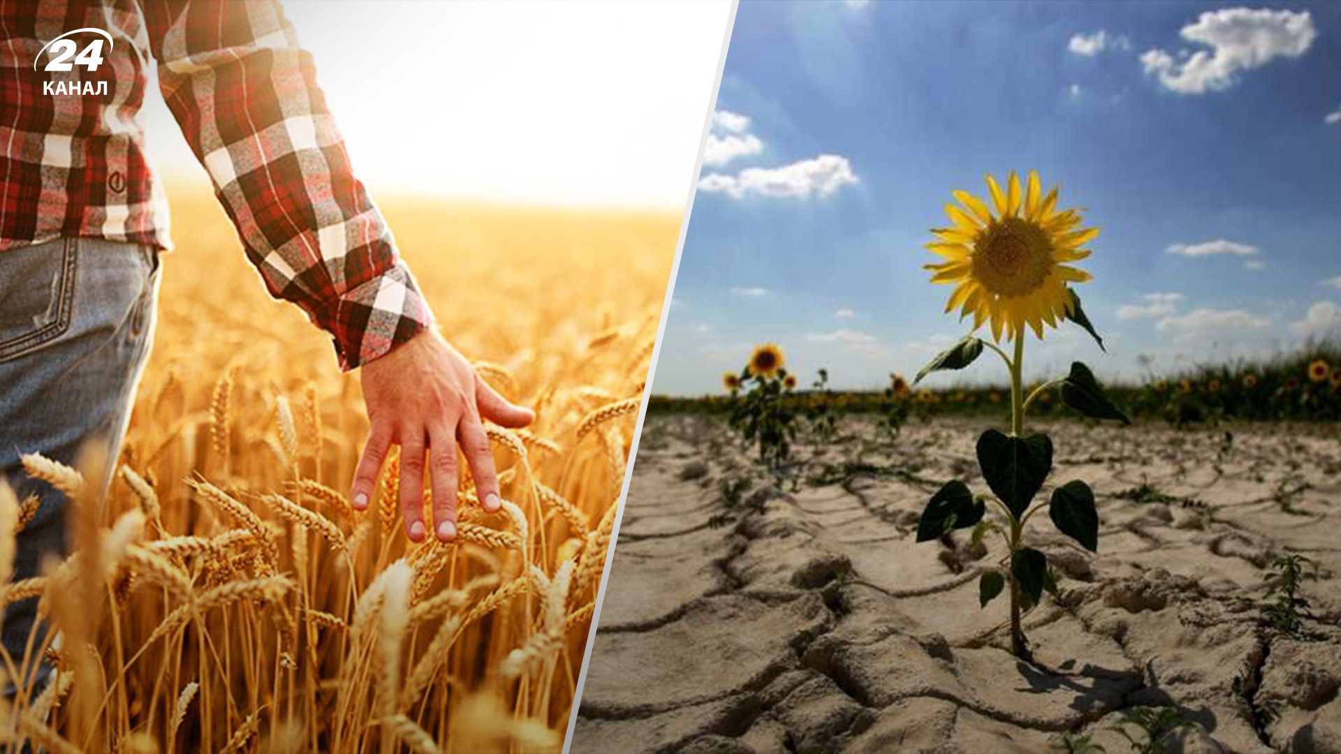 Как агросектору противостоять изменениям климата Как агросектору противостоять изменениям климата