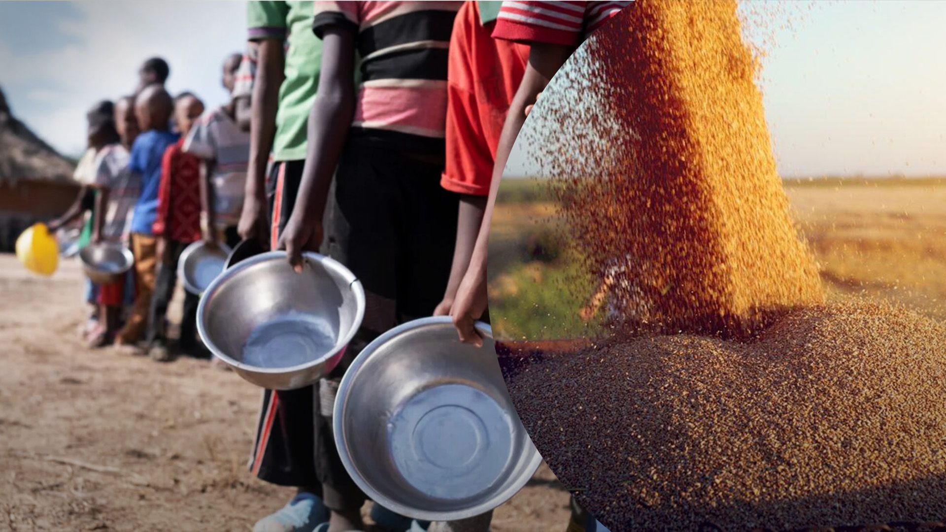 Мир вскоре ожидают продовольственные войны Мир вскоре ожидают продовольственные войны