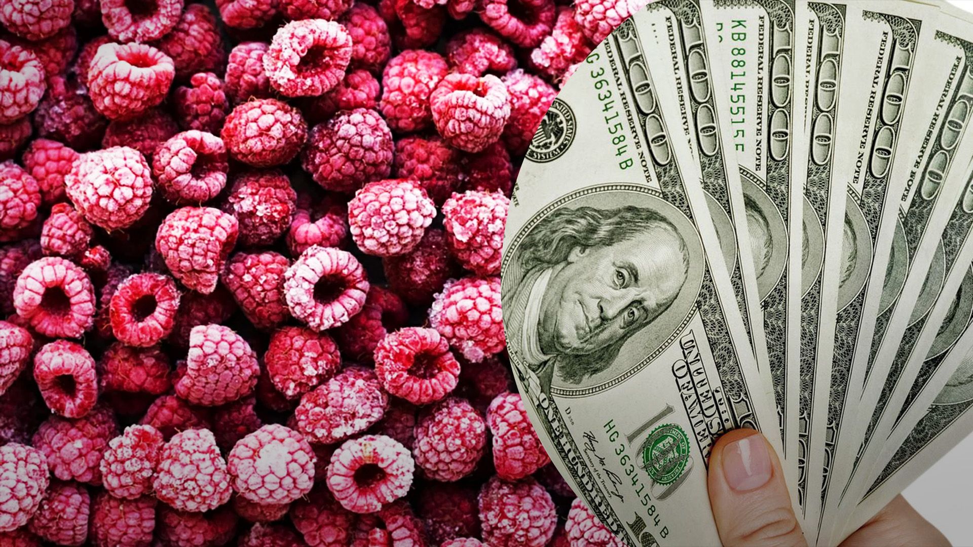 Українські виробники очікують на підвищення цін на малину Українські виробники очікують на підвищення цін на малину