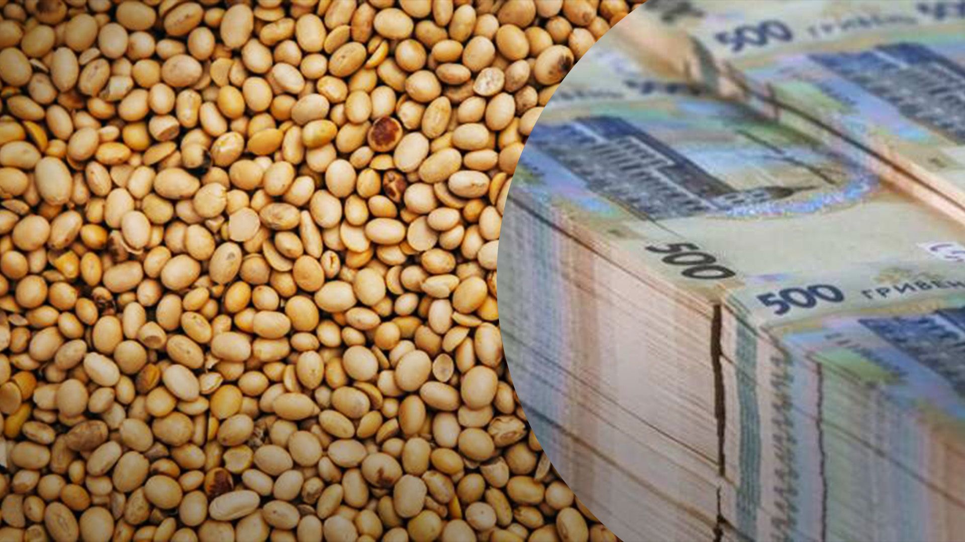 Постачальник сої приховав 11 мільйонів гривень податків Постачальник сої приховав 11 мільйонів гривень податків