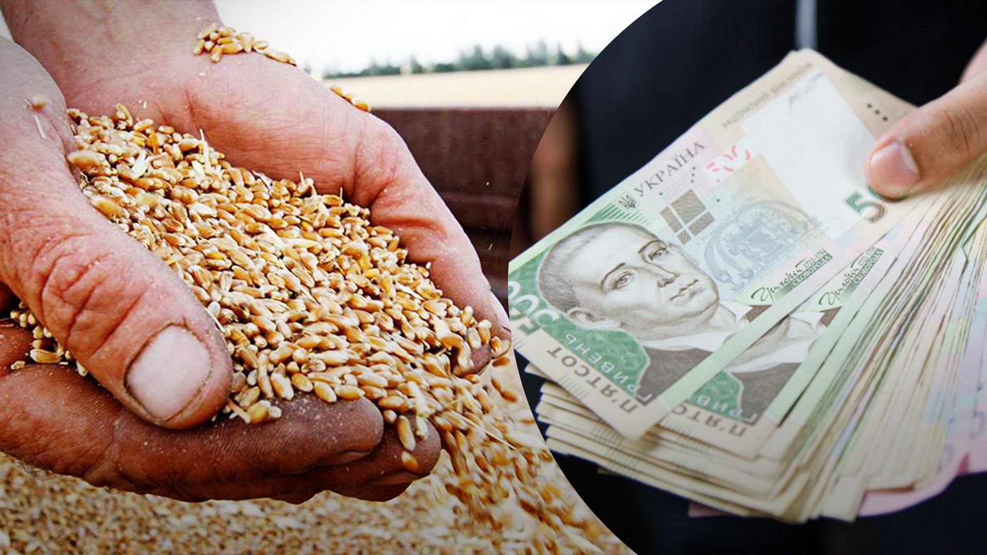 Нові ціни на зерно в Україні