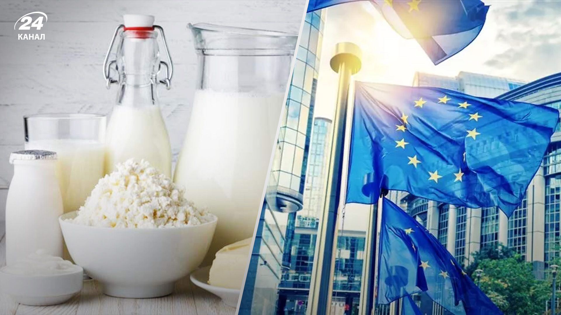 Які продукти не можна ввозити в ЄС