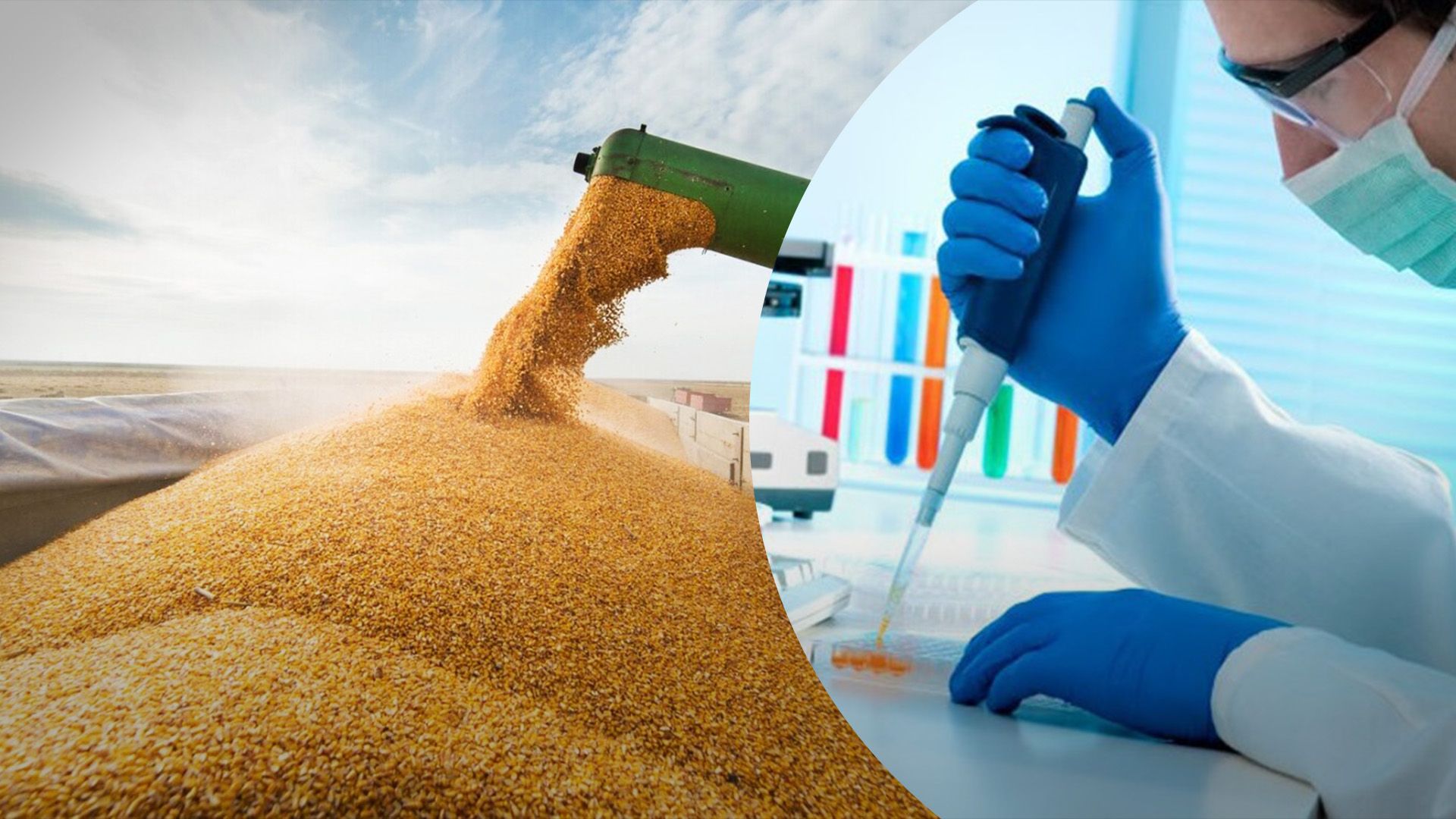 Велика Британія допоможе шукати крадене зерно Велика Британія допоможе шукати крадене зерно